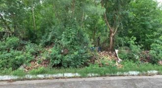 BELOW ZONAL VALUE Residential Lot for Sale – Marcelo Green Village